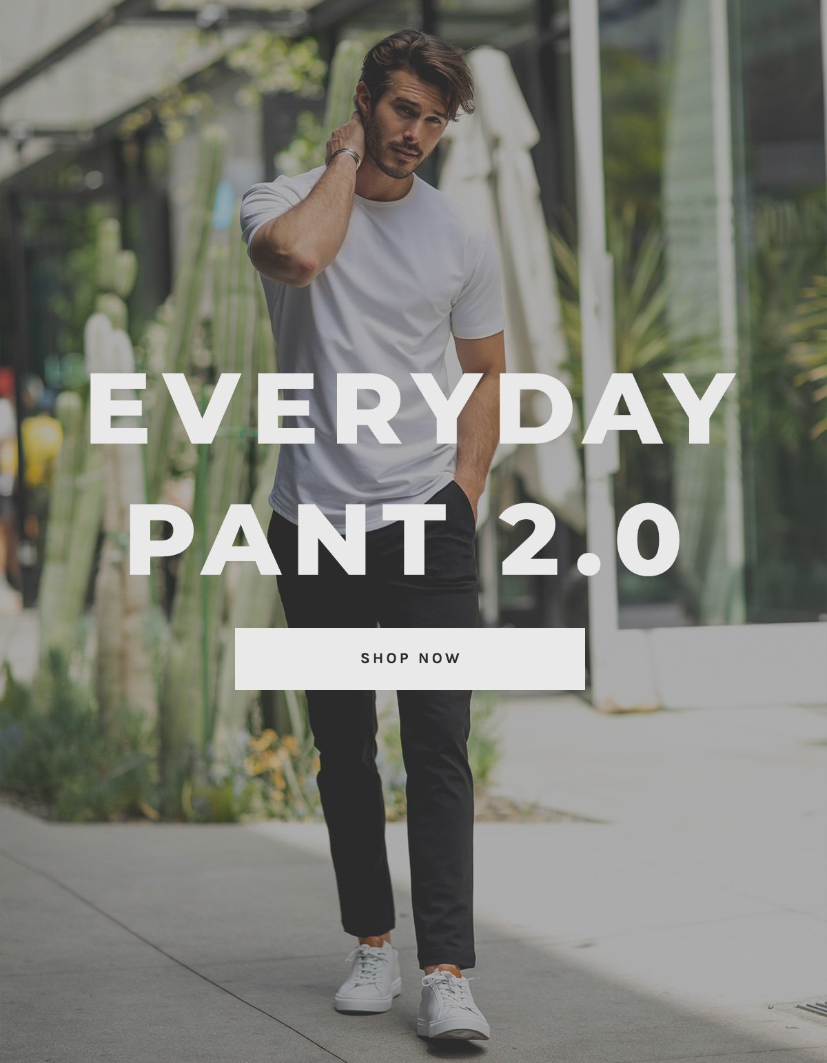 Everyday Pant 2.0