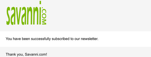 Newsletter subscription success