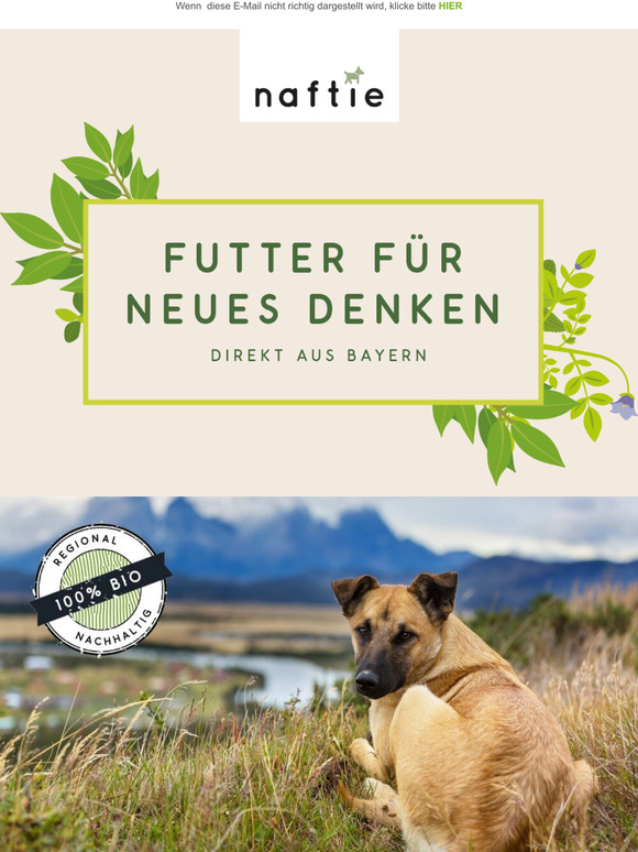 Die Zecken sind los!
