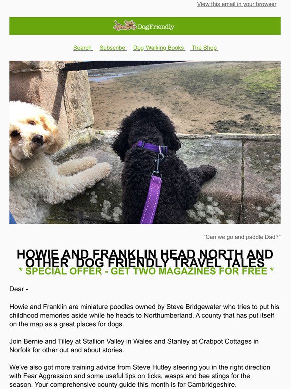 Howie and Franklin Head North and Other Dog Friendly Tales