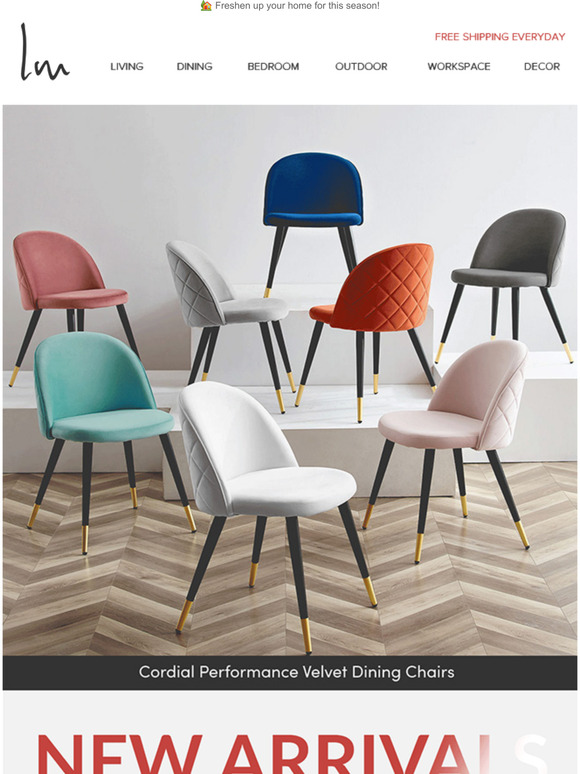 Discover Our New Arrivals 