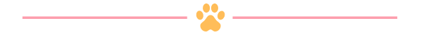 Pet Canva