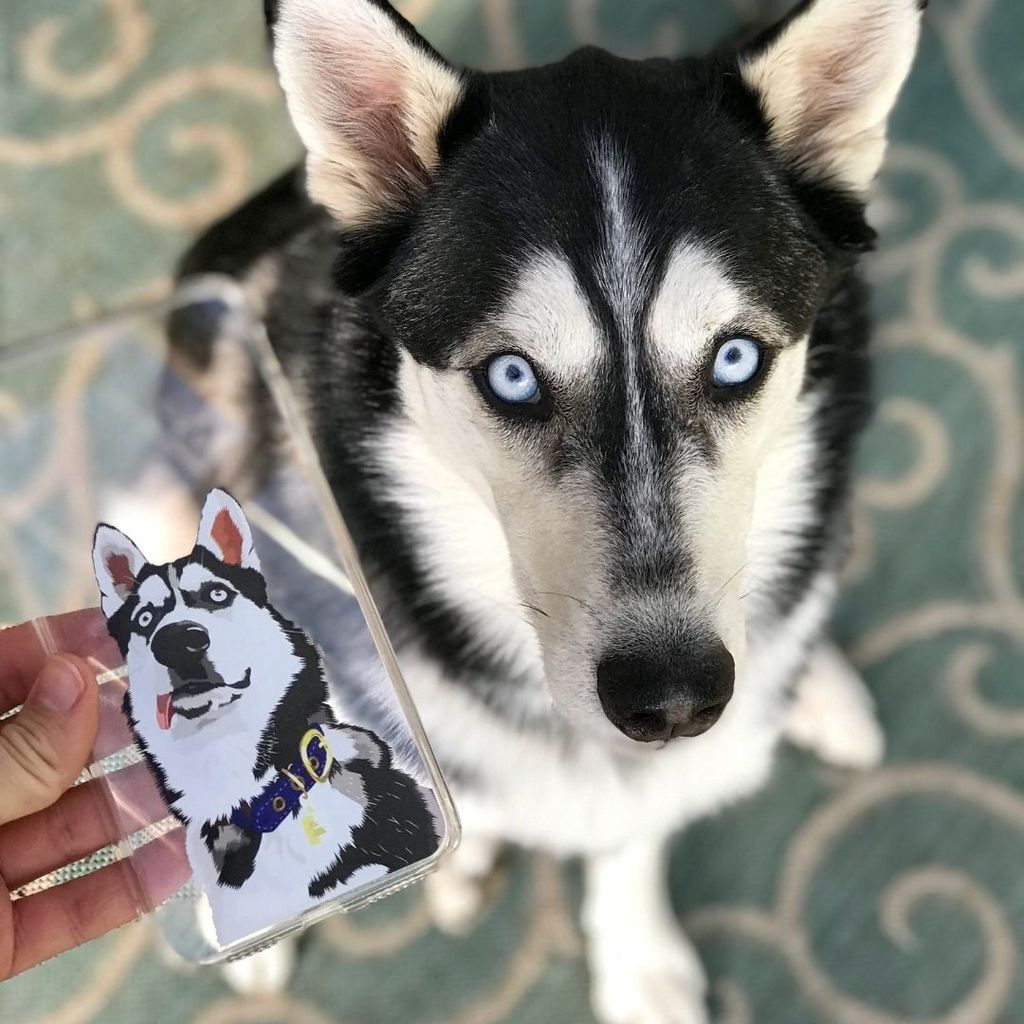 Custom Pet Phone Case