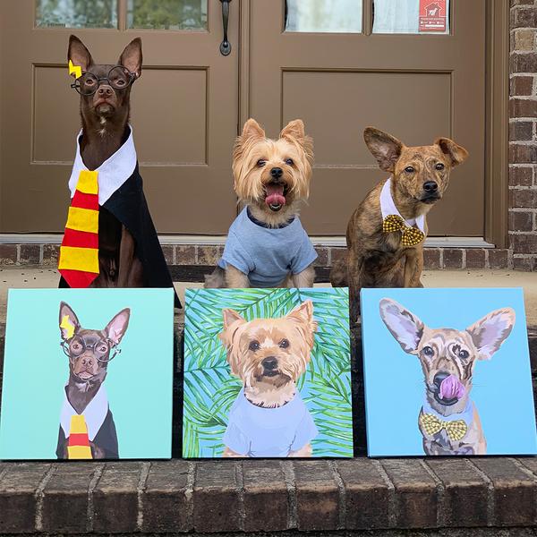 Custom Wrapped PetCanva