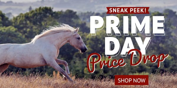 Prime Day Price Drop Preview! 20% Off or 30% Off Orders over $149*
