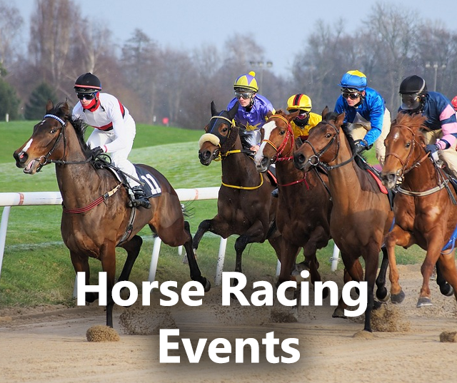 National Holidays The UKs biggest horse racing events of the year Milled