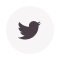 Follow Us On Twitter