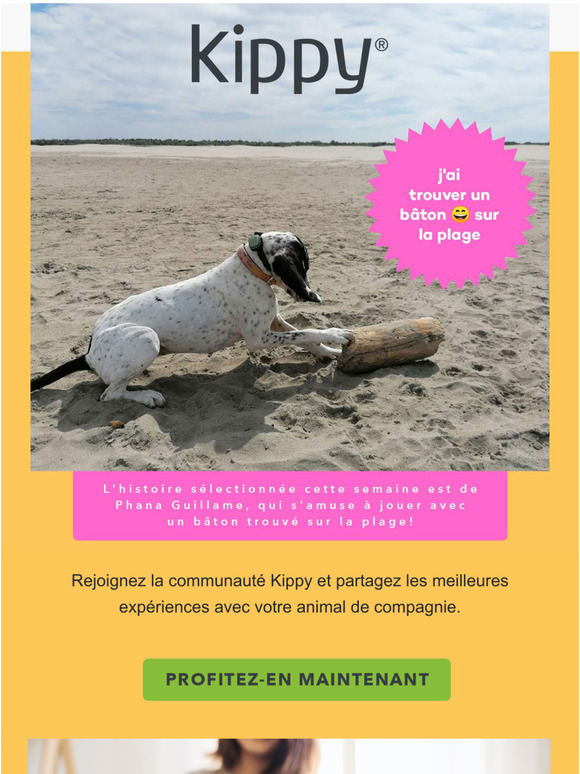 Rejoignez la communaut Kippy et partagez les meilleures expriences avec votre animal de compagnie