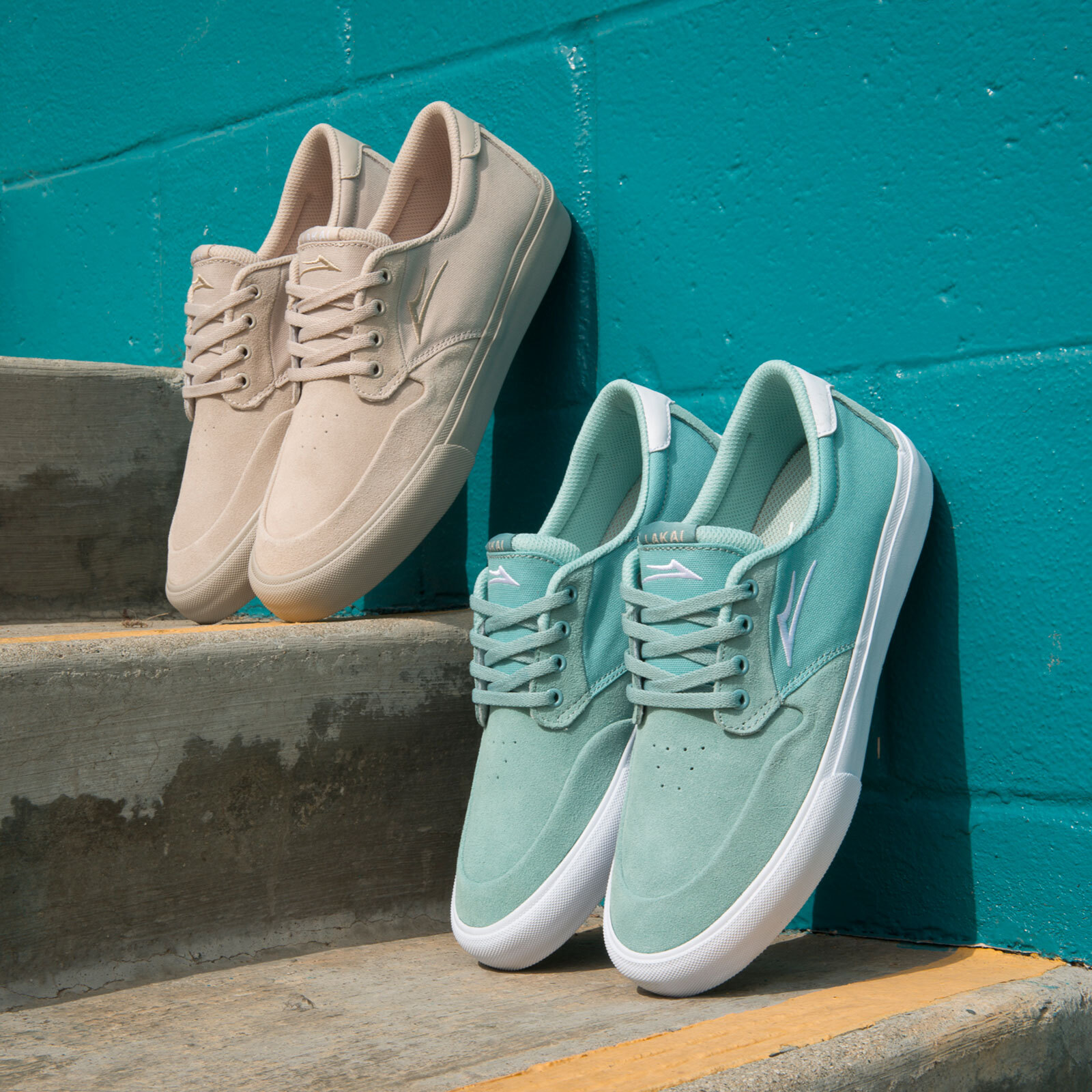 Riley Hawk & Lakai Skate Shoes