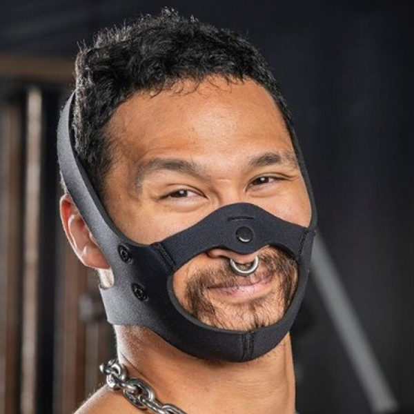 head harness muzzle