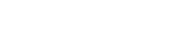 Duifhuizen Logo