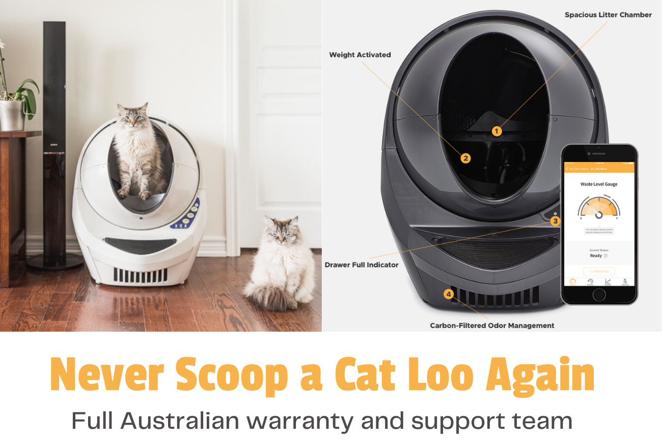 black friday litter robot