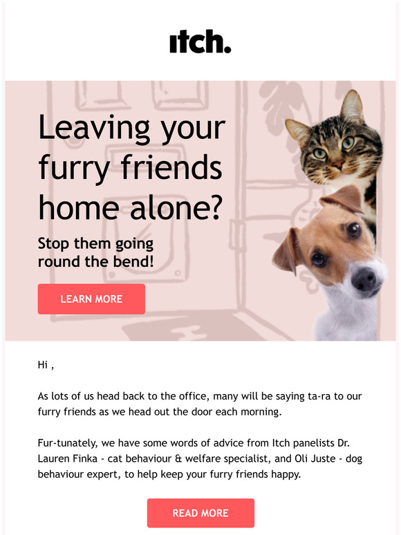 Tips to suppawt your pets post-lockdown