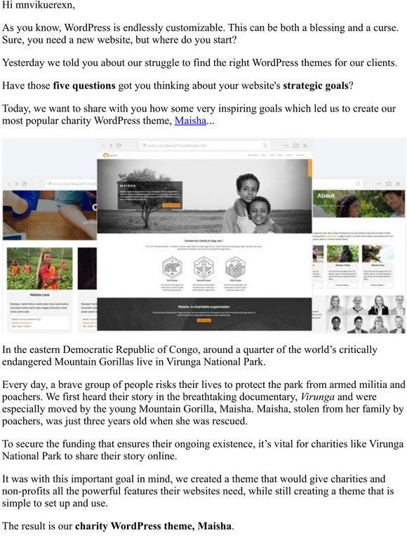 How Virunga inspired a WordPress theme for charities