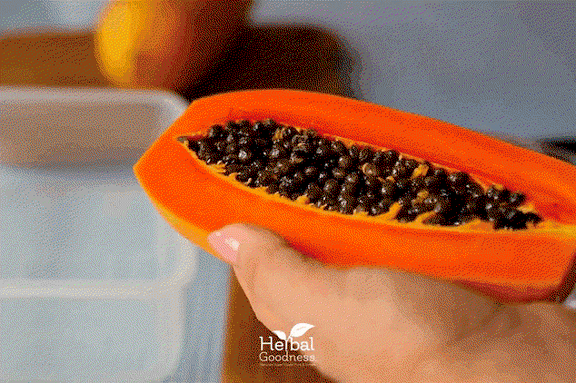 10_Health_Benefits_of_Papaya_seed_Herbal_Goodness.gif