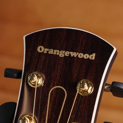 smudged logo on headstock
