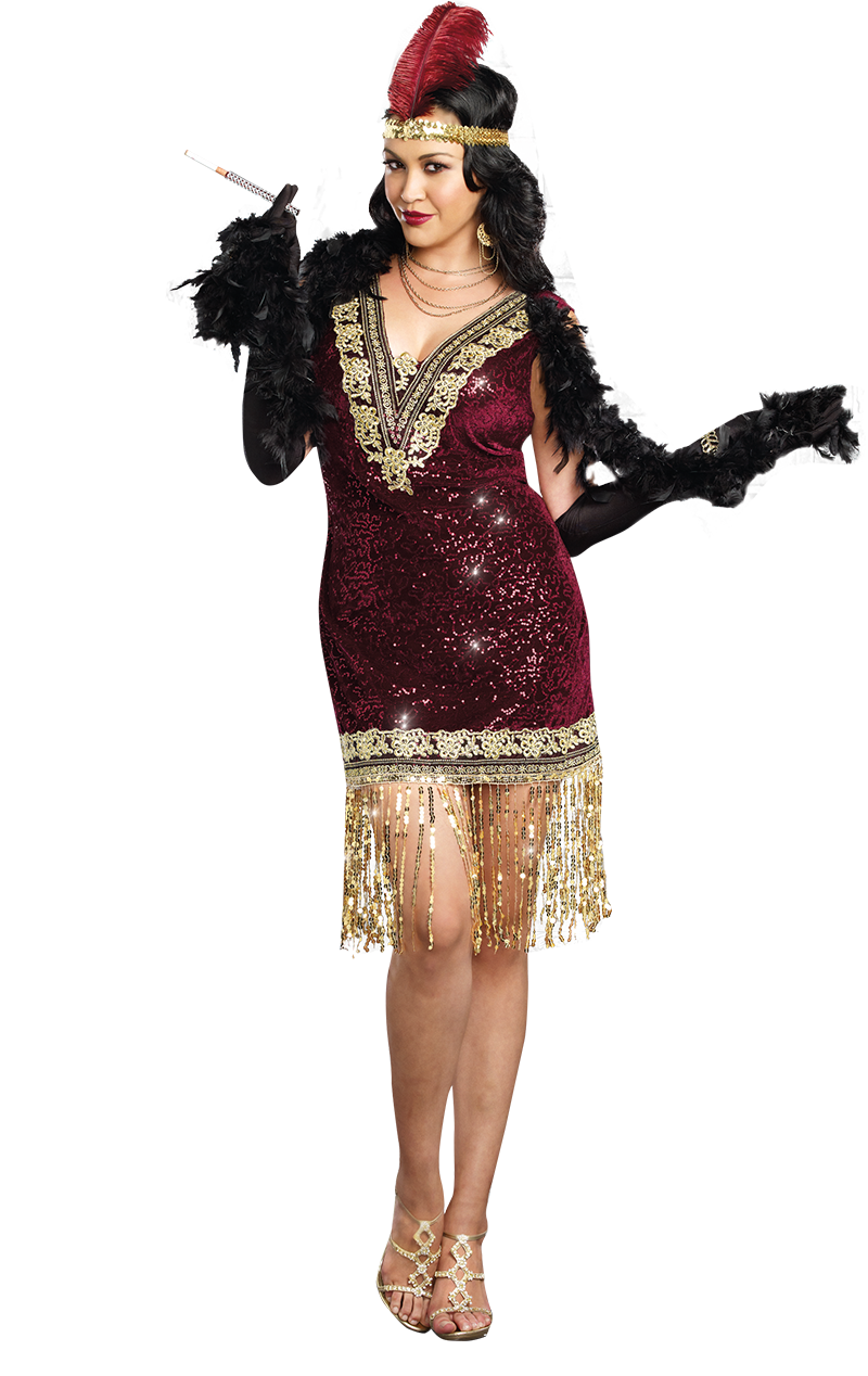 Sparkly 1920s Flapper Dress Costume Plus Size