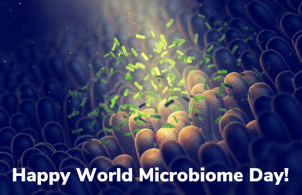 Previlli Celebrate World Microbiome Day Milled