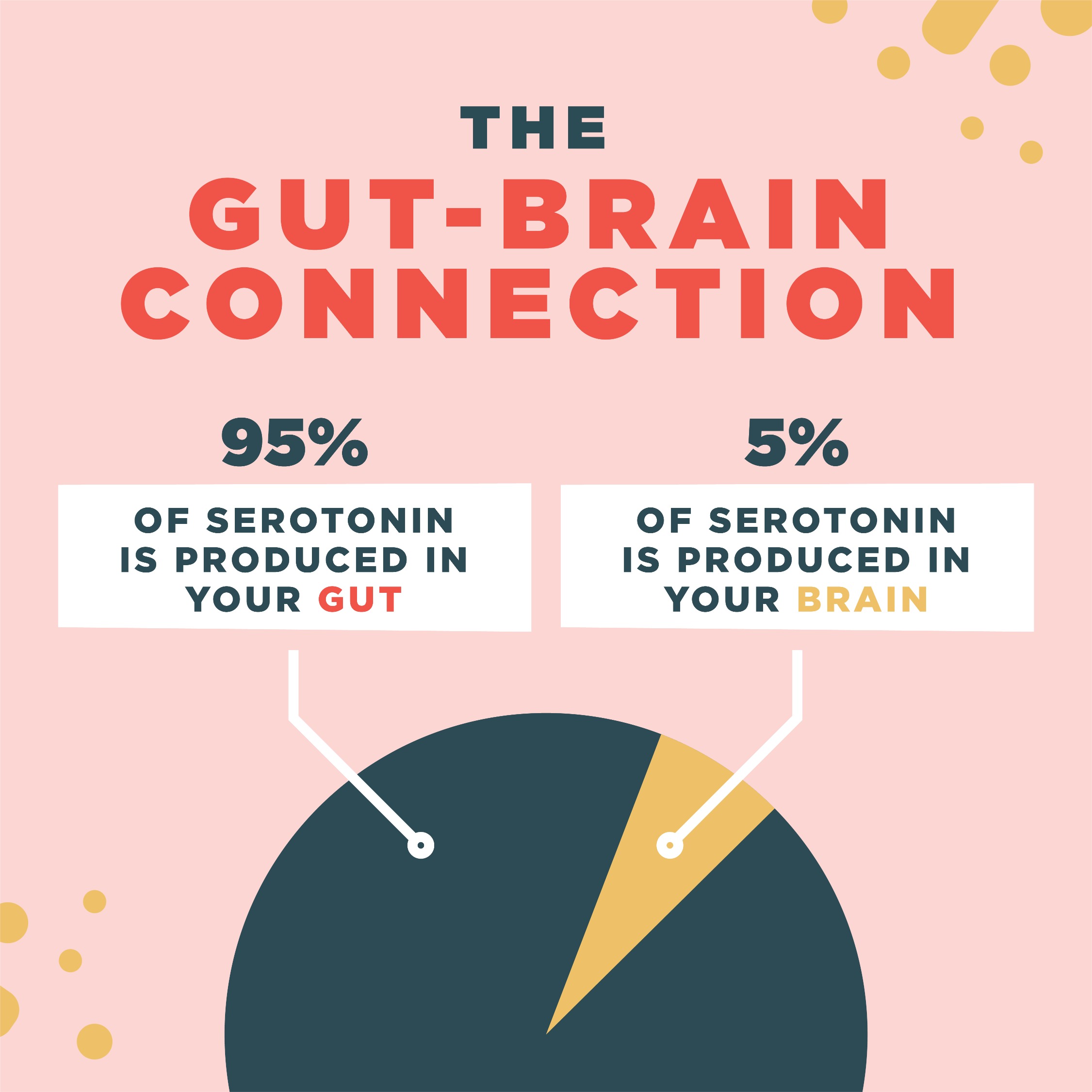 Dr. Axe What is the braingut connection, exactly? Milled