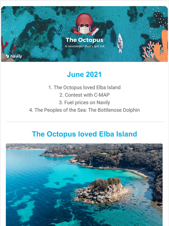  The Octopus |Elba Island seduces The Octopus | Contest with C-MAP |Fuel prices |The Common Bottlenose Dolphin