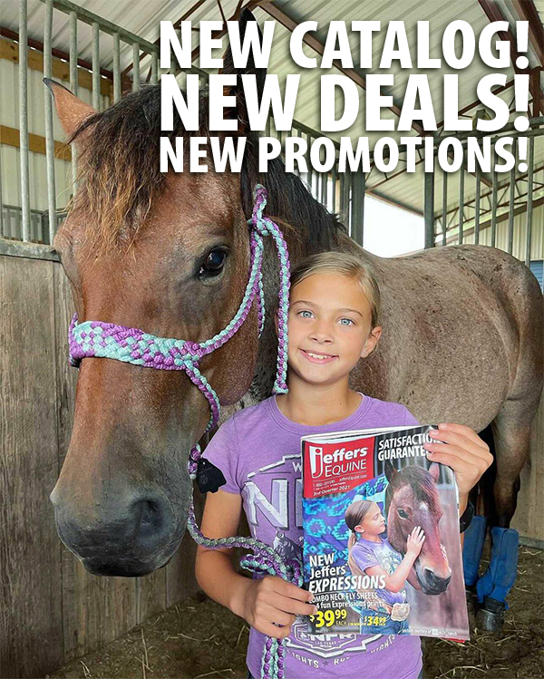 jeffers horse catalog