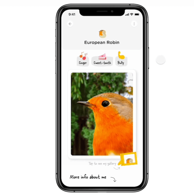 Bird Buddy on X: We are thrilled to reveal the early development