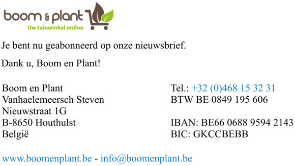 Nieuwsbrief inschrijving gelukt