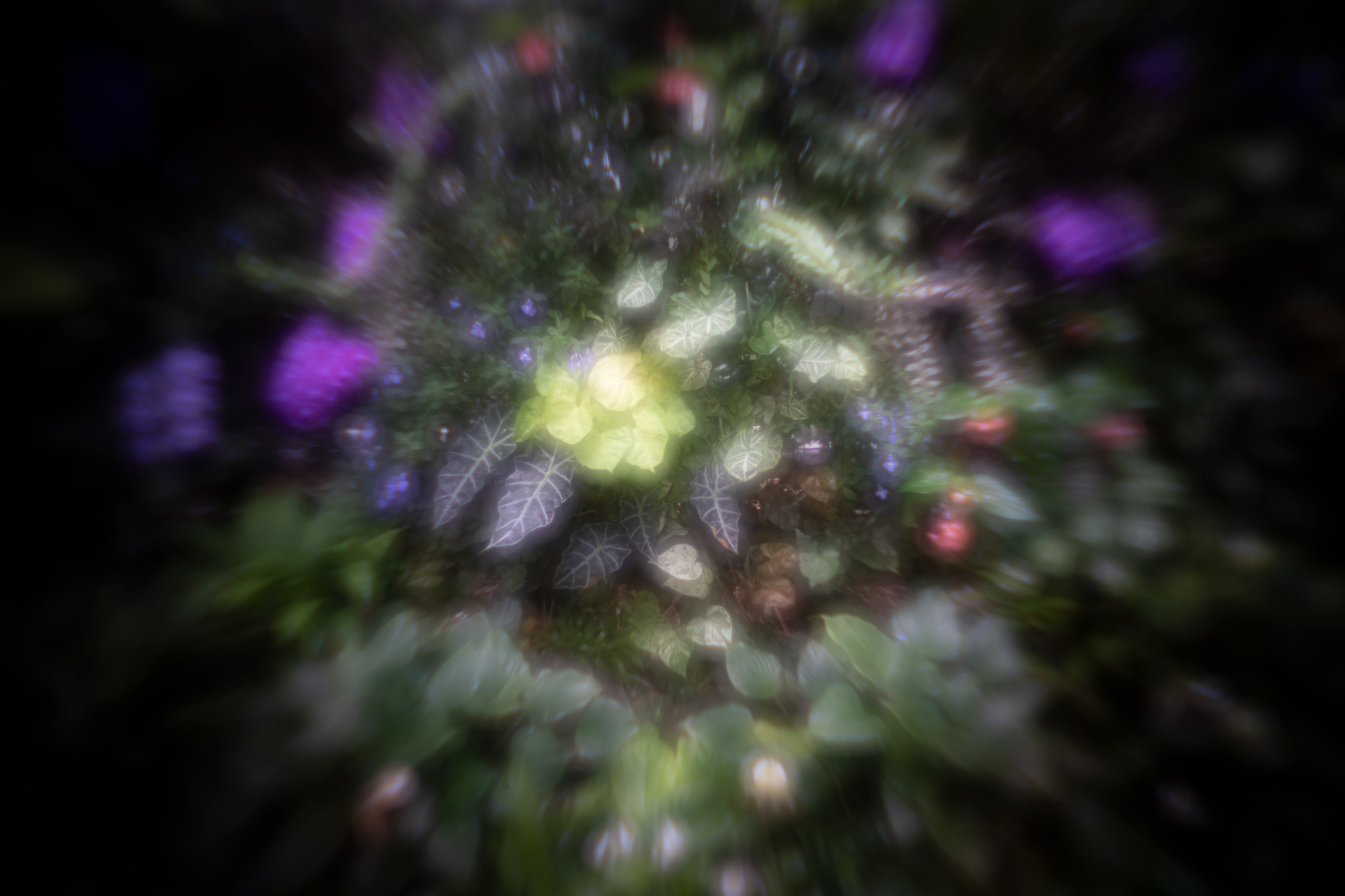 Lensbaby Take a deep dive into Obscura! Milled