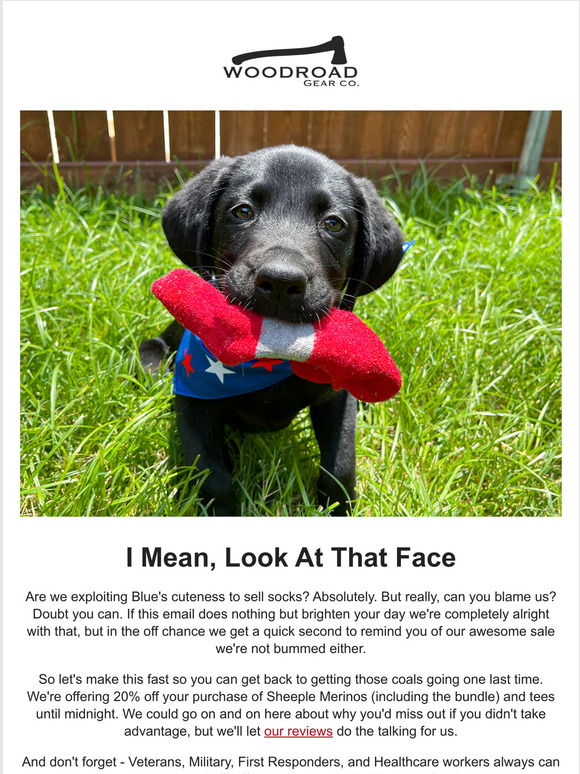 Who can say no to a puppy?