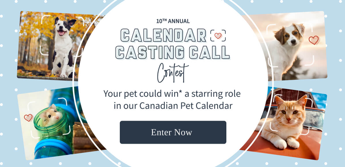 petvalu Your pet could win* a starring role in our Canadian Pet