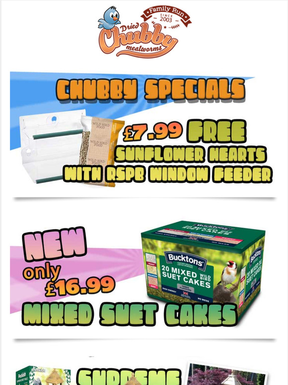 Chubby Offers & Great NEW Products