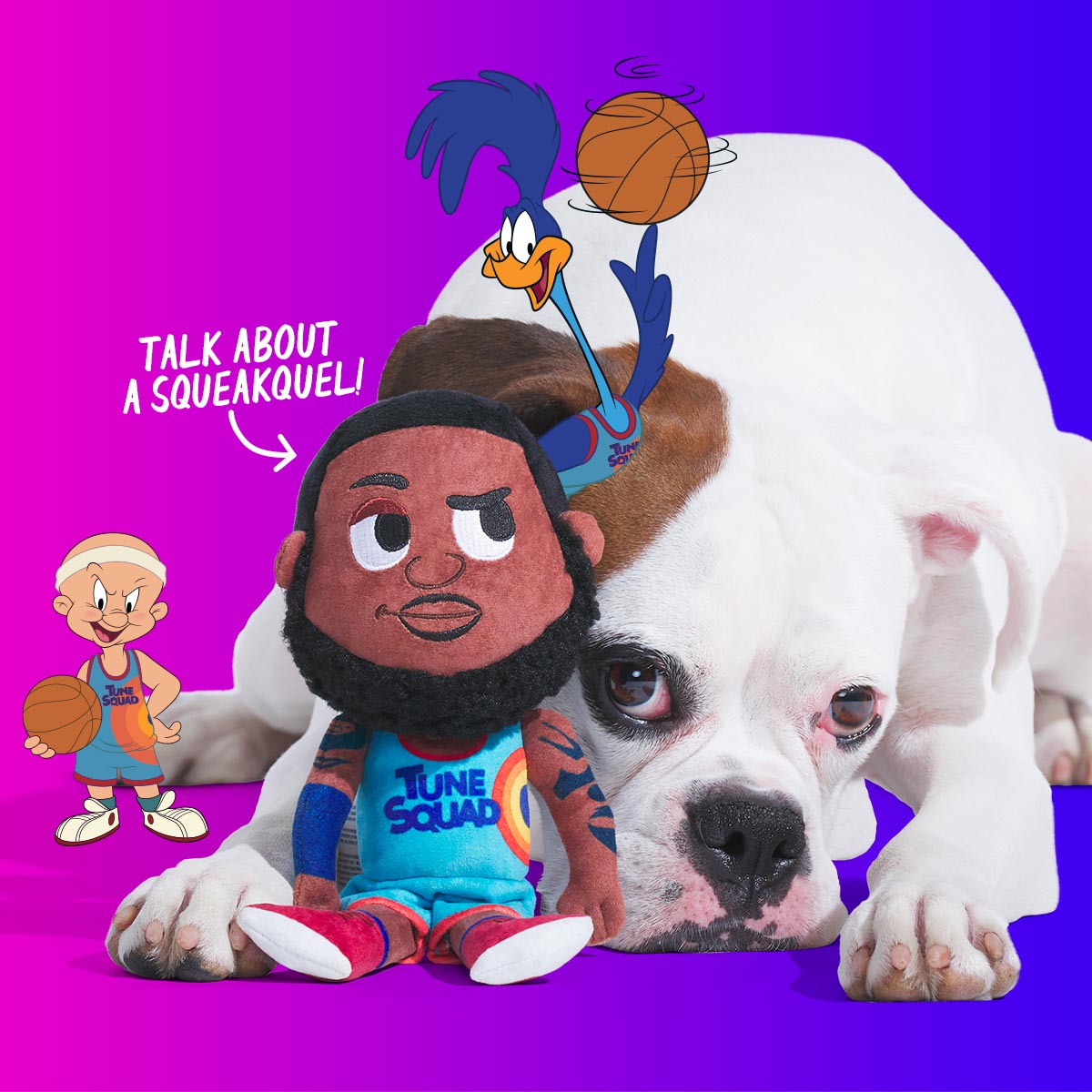 BarkBox Deal: FREE Squad Wearable Jersey With Space Jam Box! - Hello  Subscription