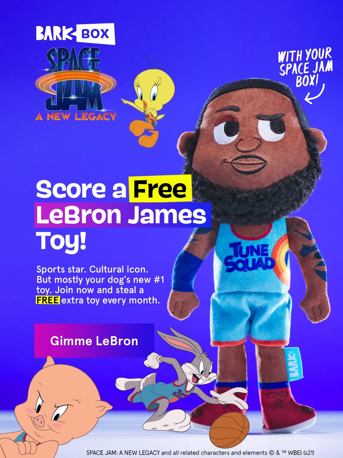 Super Chewer: Score the NBA Box + FREE dog jersey!