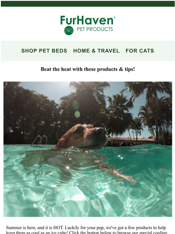 Furhaven Pet Products, Inc. Beat the heat on these Dogs Days of Summer