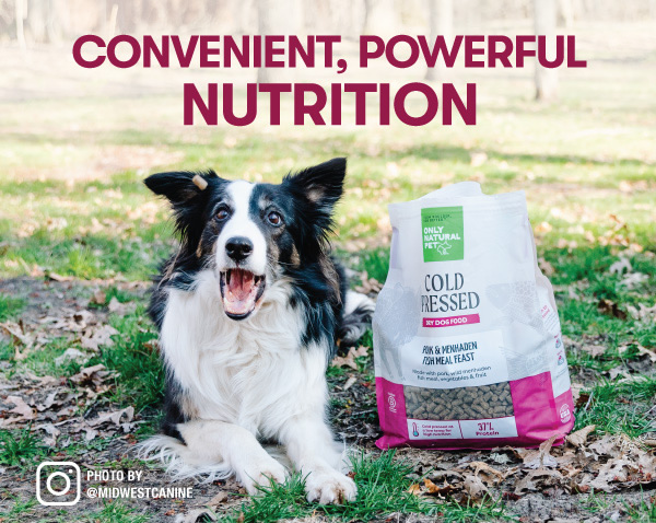 Only natural outlet pet puppy food