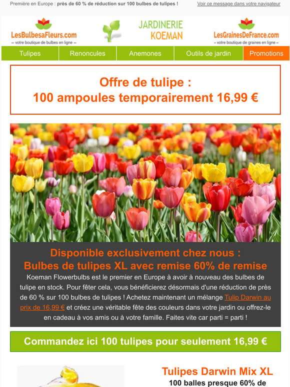 Bulbes à fleurs - Pack de variétés de tulipes (100 bulbes) 
