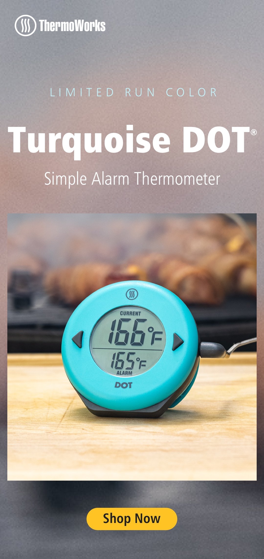 DOT Simple Alarm Thermometer