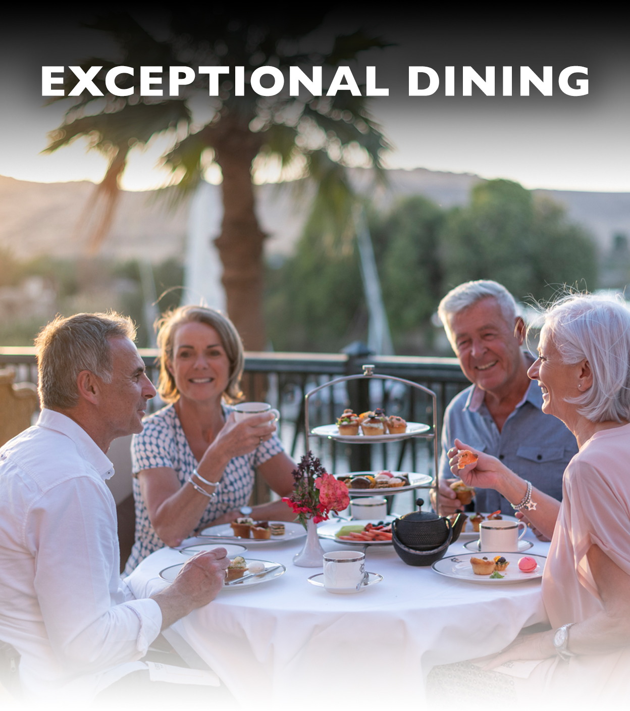 insightvacations.com: Discover Exceptional Dining in Your Destination 