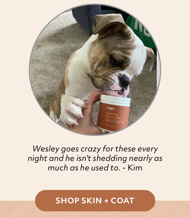 Shop Skin and Coat