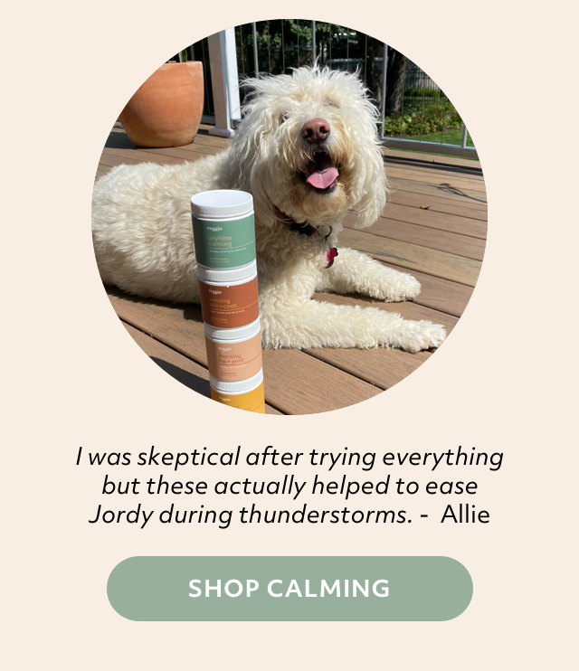 Shop Calming