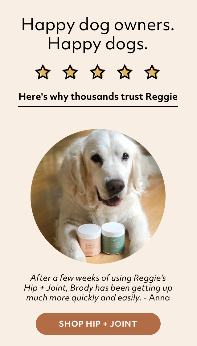 Here's why thousands trust Reggie. Shop Hip and Joint