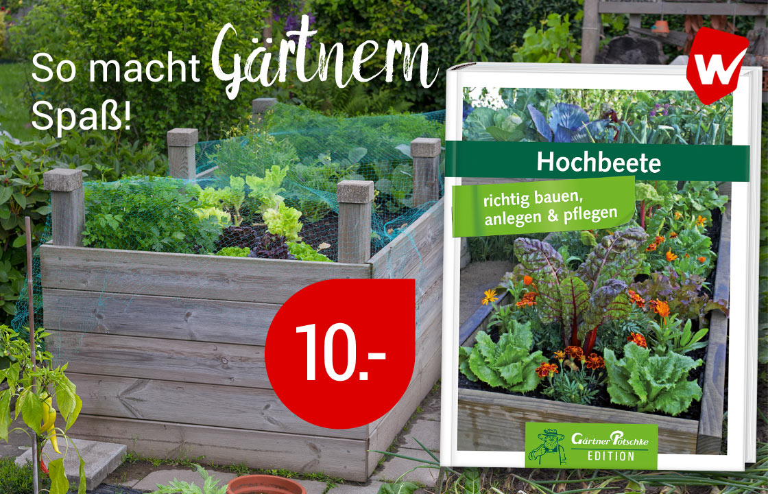 Hochbeete - Gärtner Pötschke Edition - hier klicken!