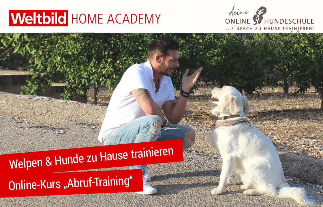 Weltbild Home Academy - hier klicken!