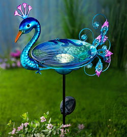 Solar-Vogeltränke "Pfau"