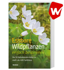 Essbare Wildpflanzen einfach bestimmen