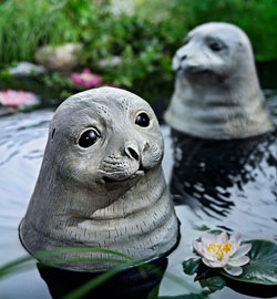 Teichschwimmer "Robbe Tobi"