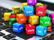 Learn More About Domain Registration