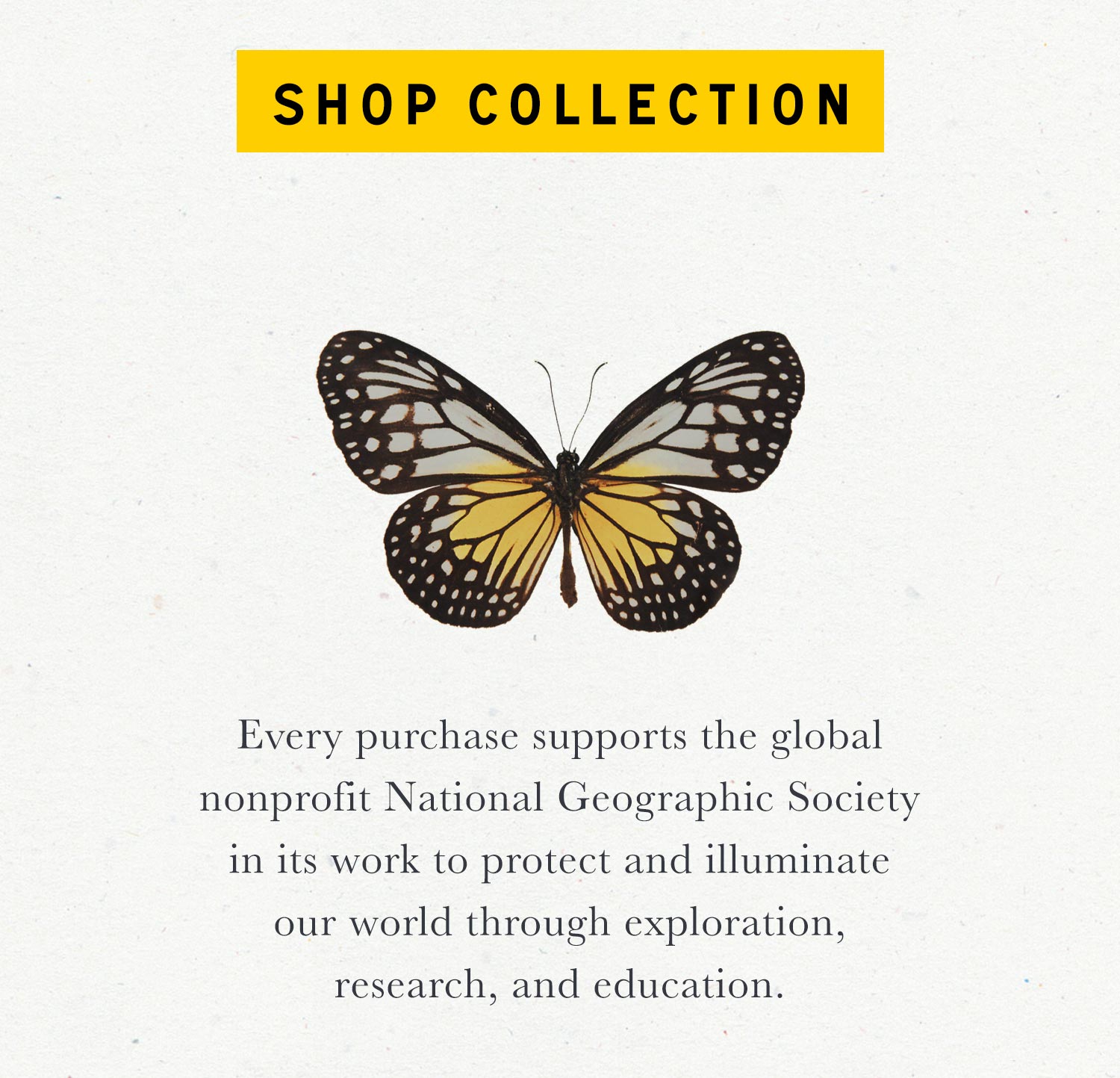 National Geographic x Parks Project | Shop Collection