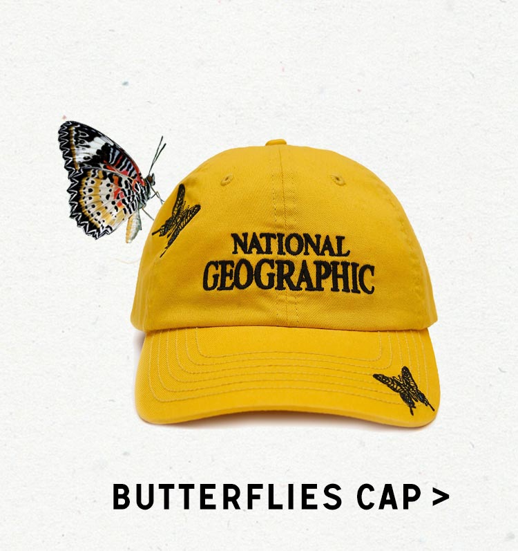 National Geographic x Parks Project | Shop Butterflies Cap