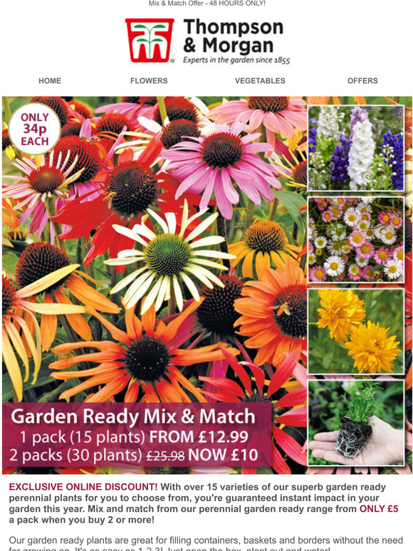 Thompson & Garden Ready Perennials from only 34p each! Milled